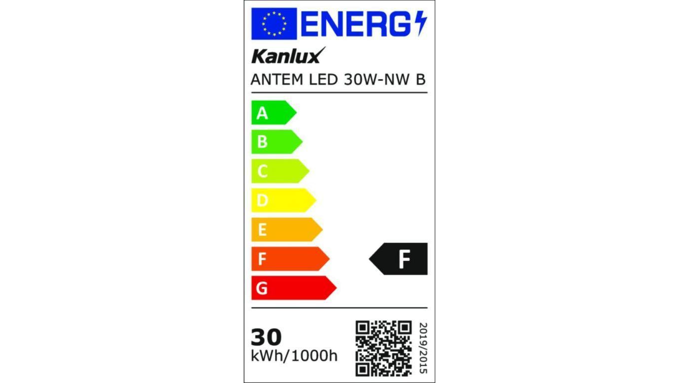 Projektor ANTEM LED 30W-NW B 2400lm 4000K barwa neutralna IP65 czarny 33202