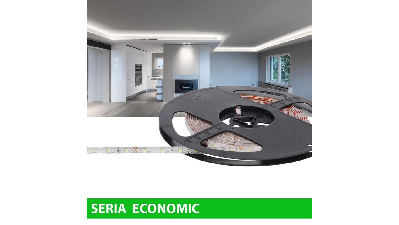 Taśma Economic IP63 12V 60led W 6000-7000K SMD2835 (25)